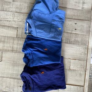 Polo by Ralph Lauren Kids Blue 3 shirt Set